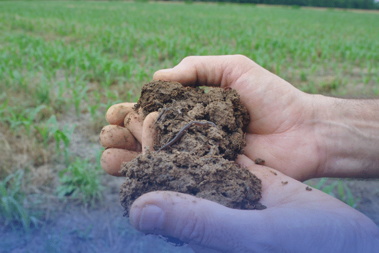 Partnership for Impact: Elevating Soil Testing Services and Shaping the Future of Agriculture