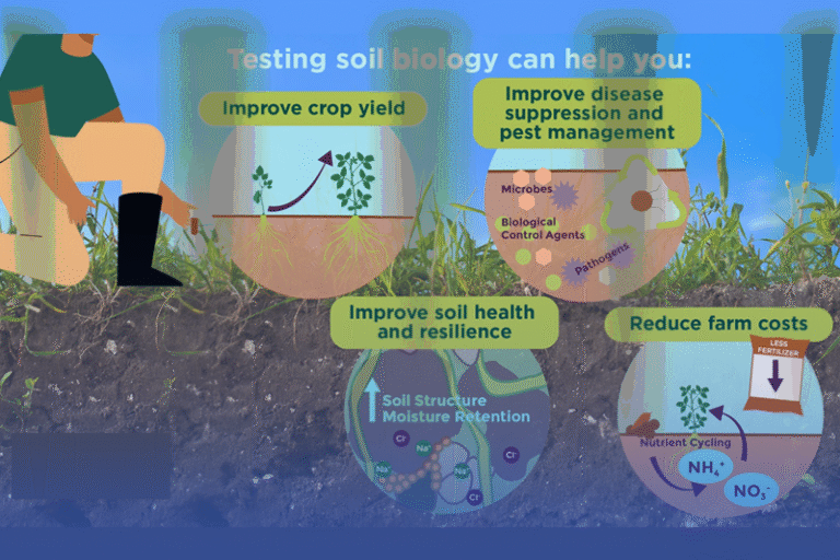 DECODING SOIL HEALTH REPORTS