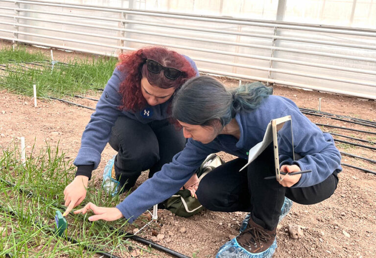 What is Soil Biodiversity?